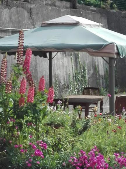 La Torretta Bed & Breakfast Torriglia Extérieur photo